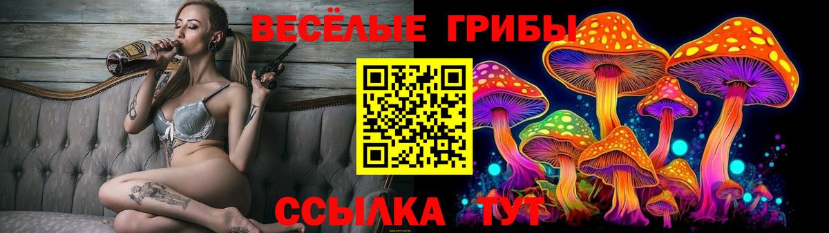 Галлюциногенные грибы мицелий  Псилоцибиновые грибы Psilocybine cubensis  Петровск  Вход с VPN 