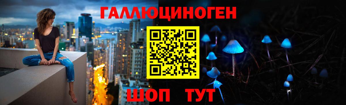 Галлюциногенные грибы GOLDEN TEACHER  как найти наркотики  Галлюциногенные грибы Psilocybine cubensis  Петровск 